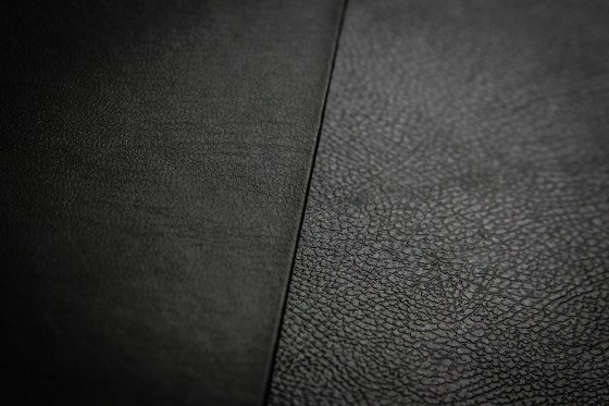 (Photo Ewald Stander)